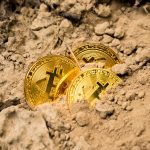 Bitcoins half hidden in dirt