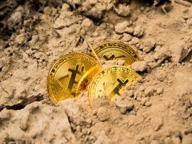 Bitcoins half hidden in dirt